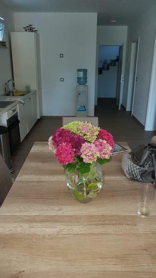 Apartmani Ivkovic 푼타나 외부 사진